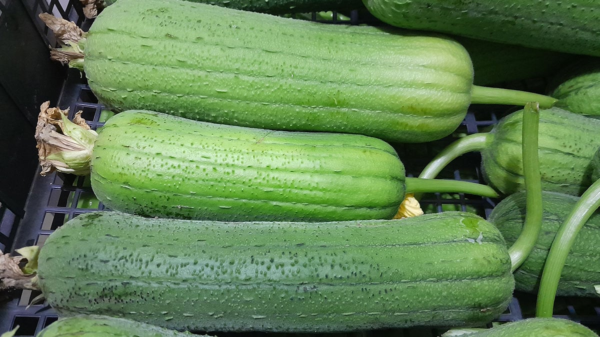 이걸 먹어도 되나?…청소 도구와 식재료 역할 둘 다 하는 ‘이 작물’의 효능