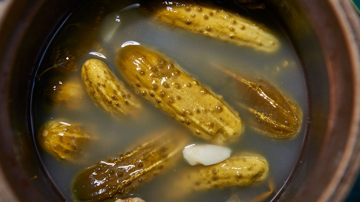 오이피클 오이피클