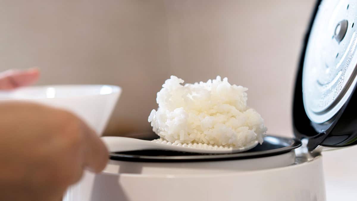 밥솥에서 푸는 밥