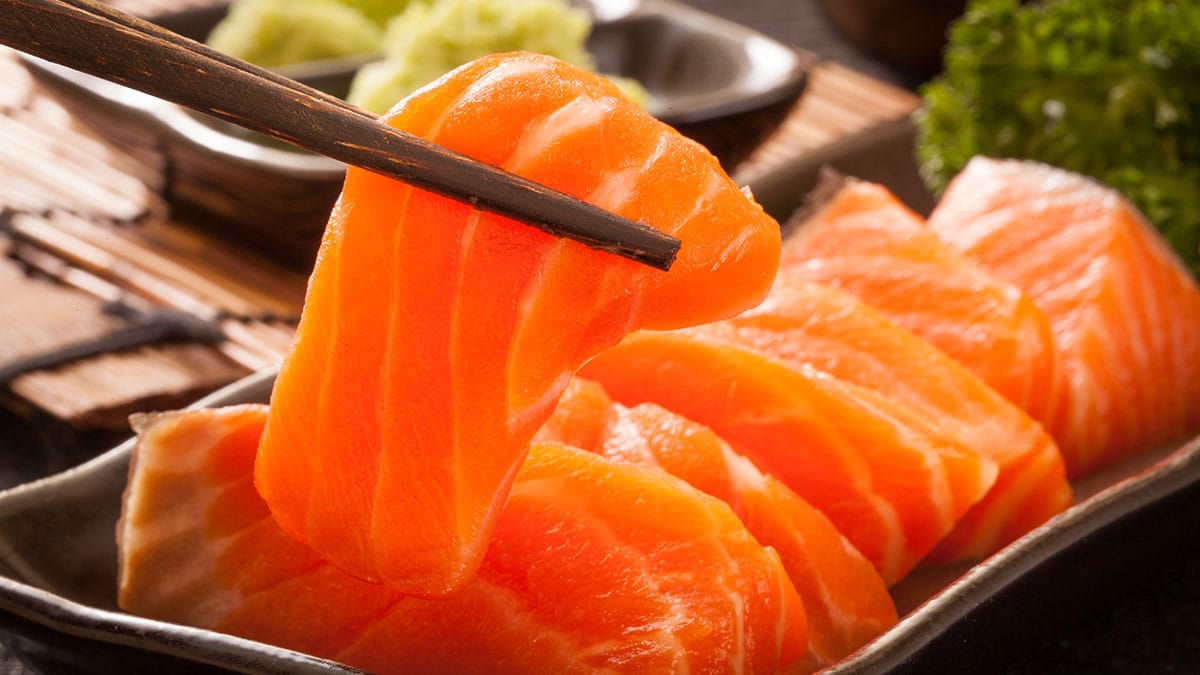 연어 회 연어 회