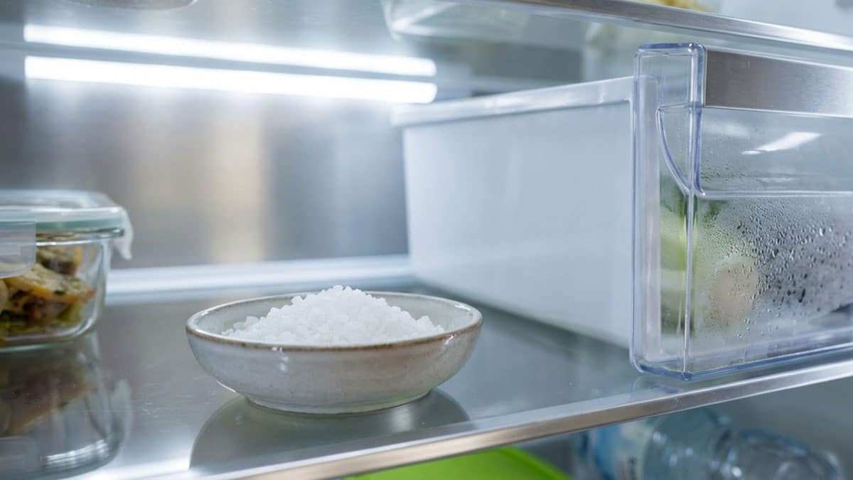냉장고 소금