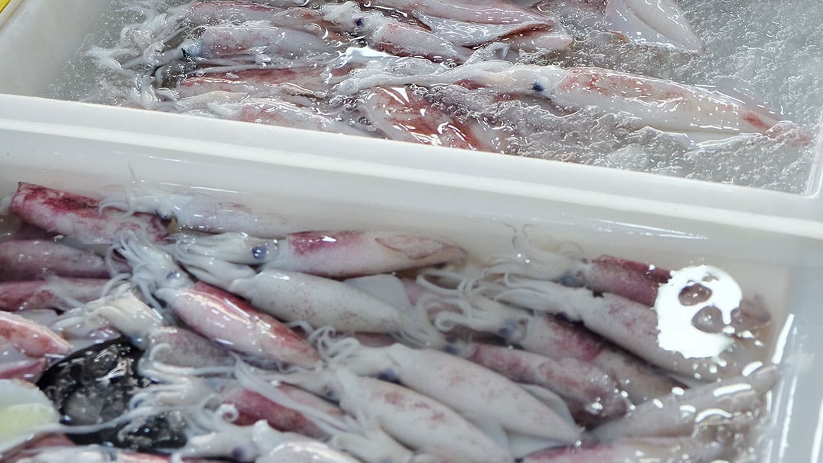 이마트 수입산 비중 45.9%까지 급증…국내산은 5분의 1만 잡혀 2만 3,187원 폭등한 ‘국민 해산물’