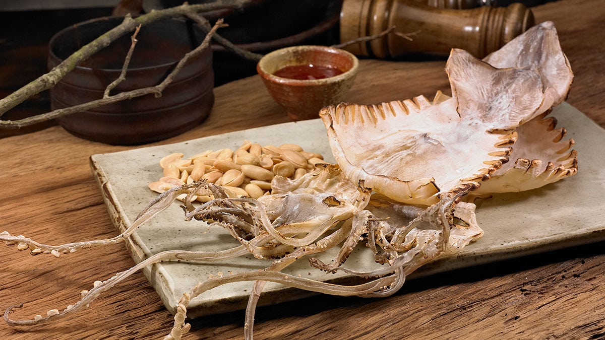 마른 오징어 마른 오징어