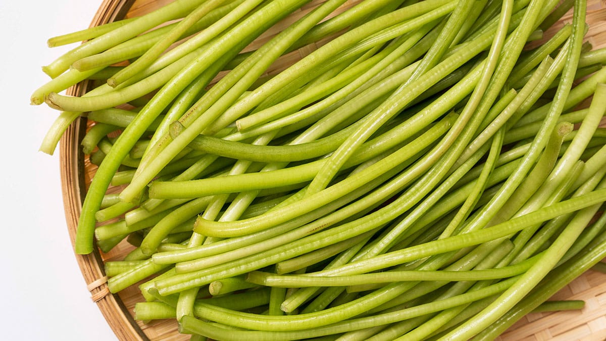 고구마순 고구마순