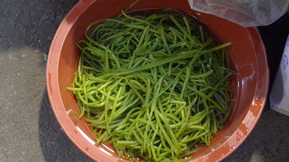 고구마순 고구마순