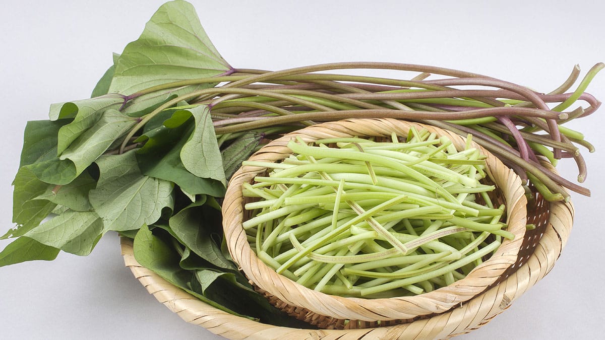 고구마순 고구마순