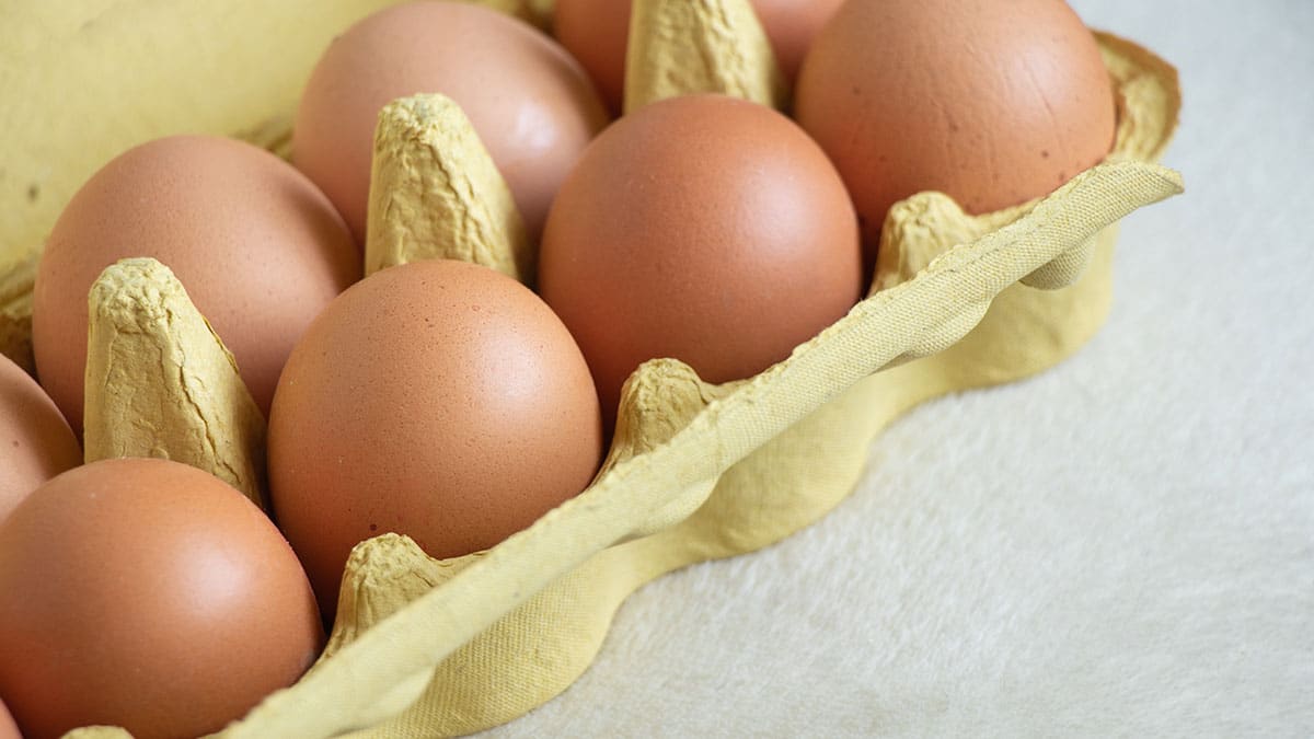 냉장고 제조사가 만든 ‘전용 칸’…당연하게 넣어 뒀는데 알고 보니 ‘최악의 장소’였다