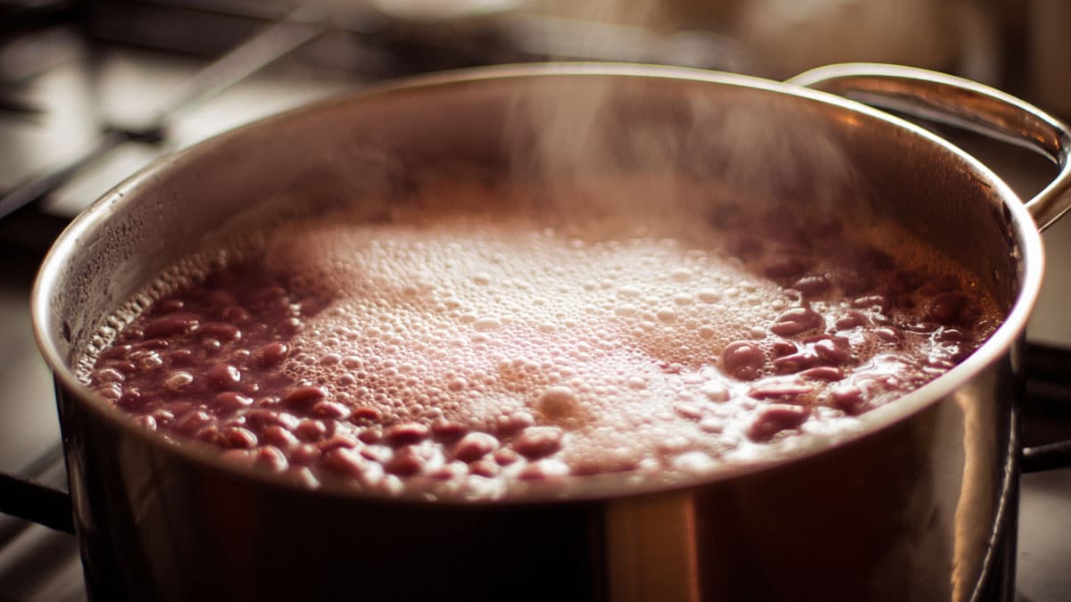 붉은 물에 거품까지 뽀글뽀글…다들 버렸는데 알고 보니 ‘영양 덩어리’였다