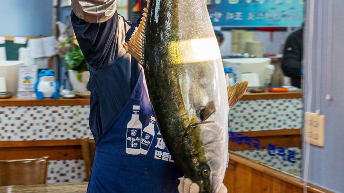 손발 찬 사람들이 겨울마다 찾는다…’동의보감’에도 기록된 고소한 ‘제철 생선’