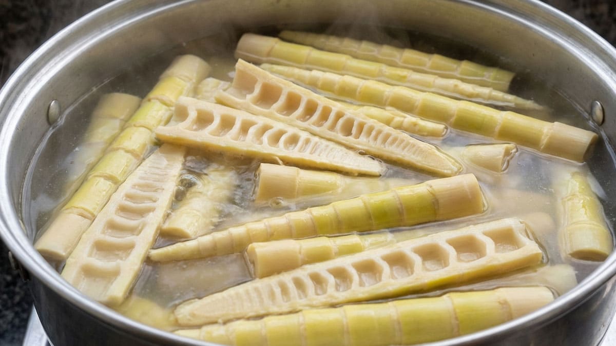 채소지만 꼭 익혀서 먹으세요…생으로 먹었다간 ‘독성 물질’ 중독됩니다