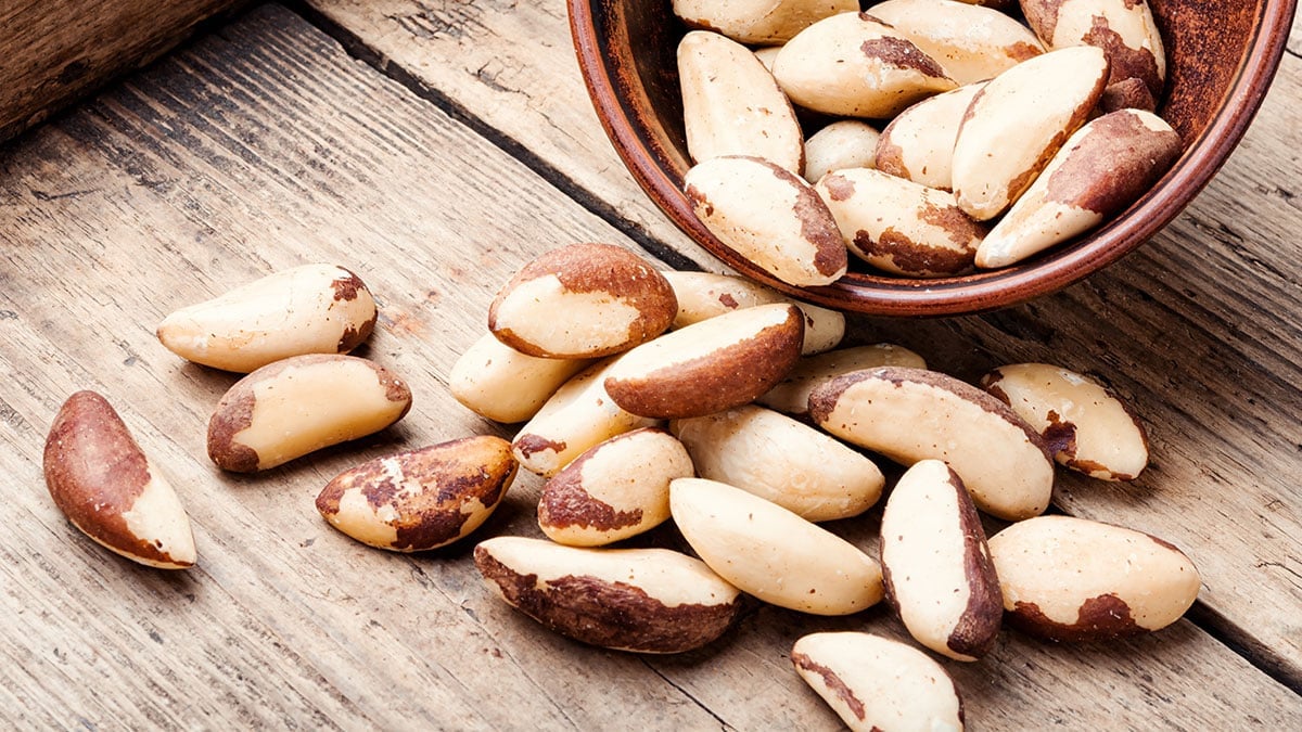 브라질너트 브라질너트