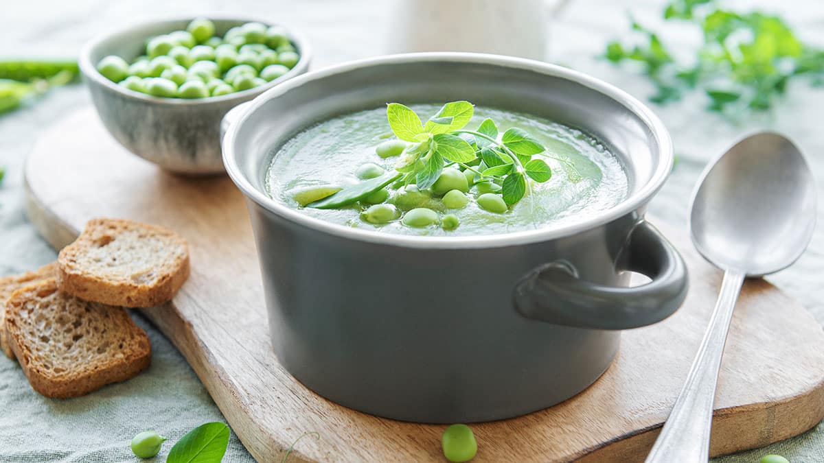 완두콩 음료 완두콩 음료