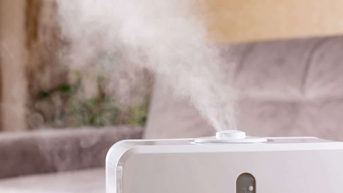 가습기는 의외로 ‘이 물’을 사용… 겨울철 필수 가전 가습기 올바른 사용법