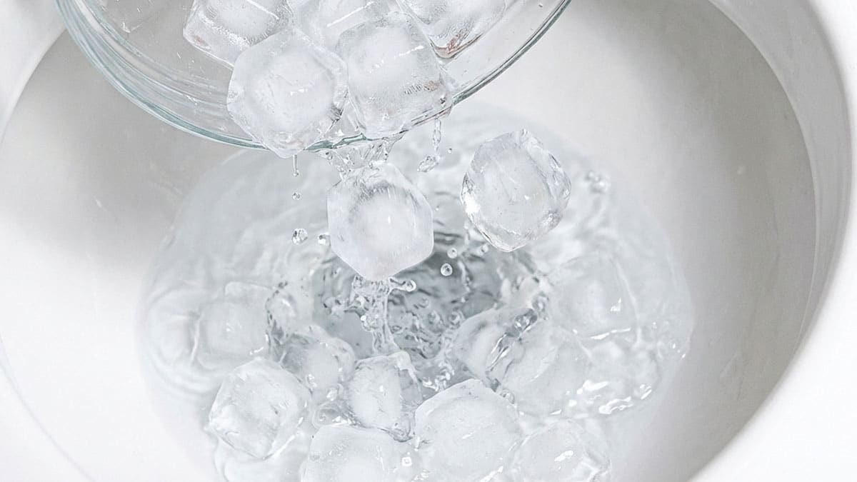 변기 얼음 변기 얼음