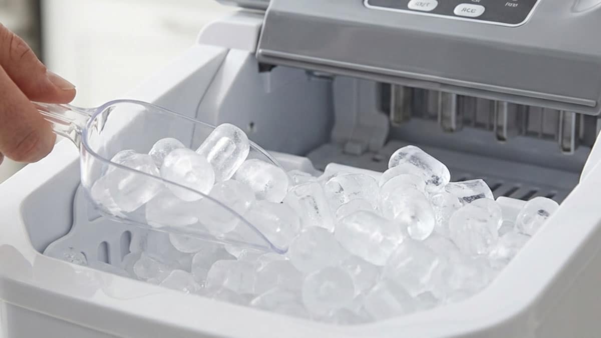 제빙기 얼음 제빙기 얼음