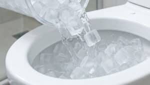 변기 얼음