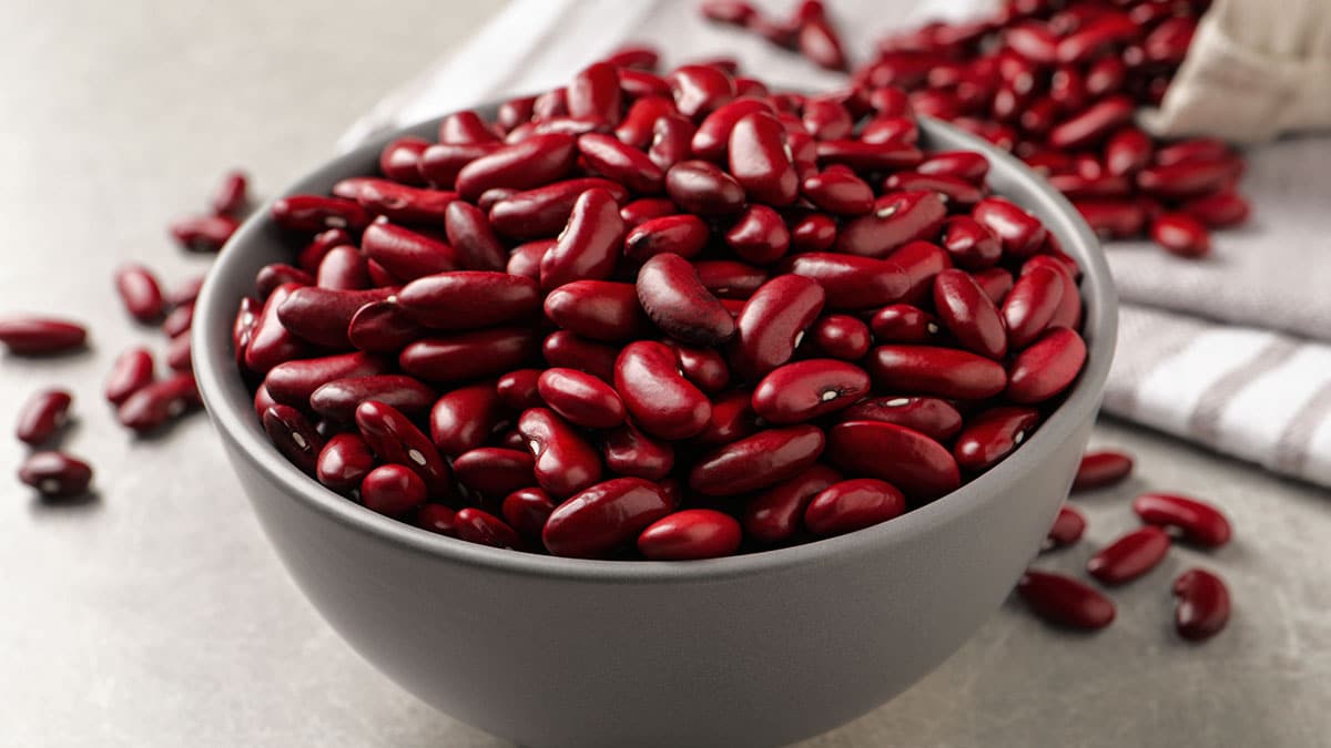 붉은 강낭콩