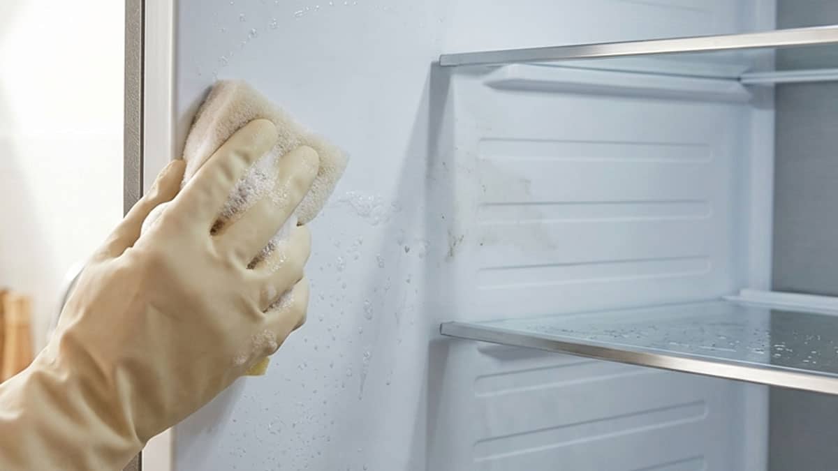 냉장고 청소 냉장고 청소