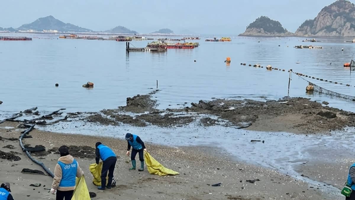 전남 해양 전남 해양