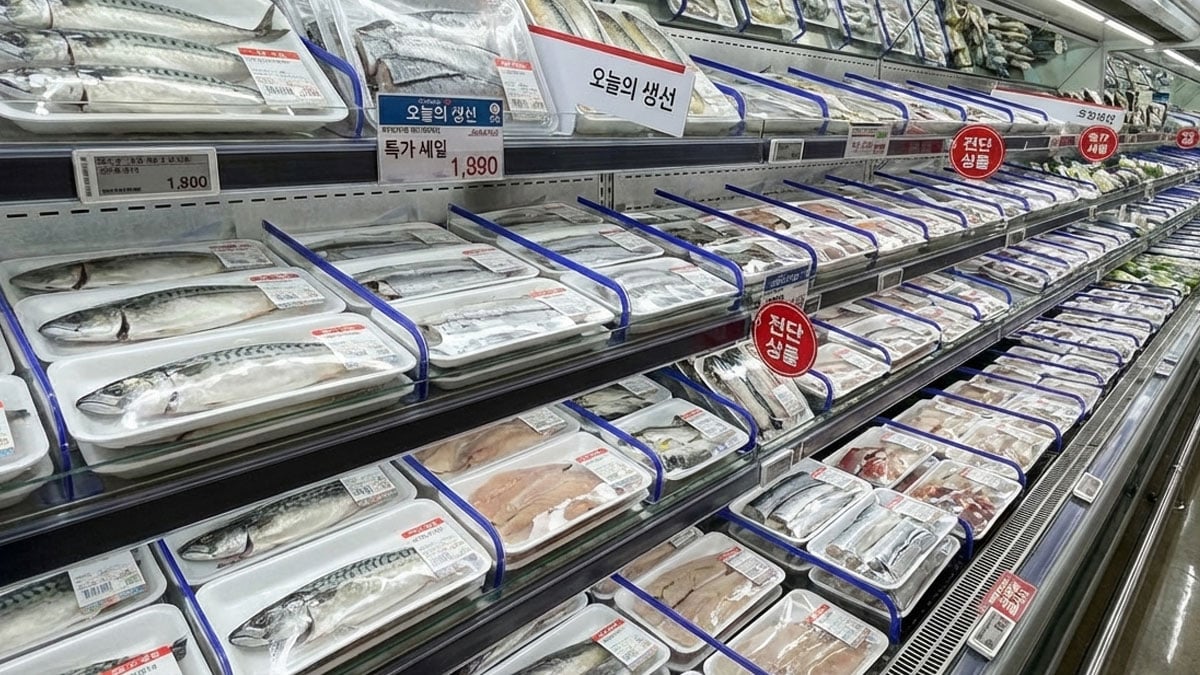 지금 아니면 싸게 못산다…1만 원대까지 오른 ‘국민 생선’ 25일까지 최대 60% 할인