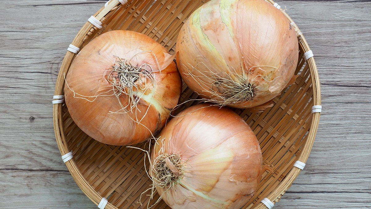 겨울철 양파 ‘여기에’ 보관하세요…3개월 지나도 싹 안 나고 물러지지 않습니다