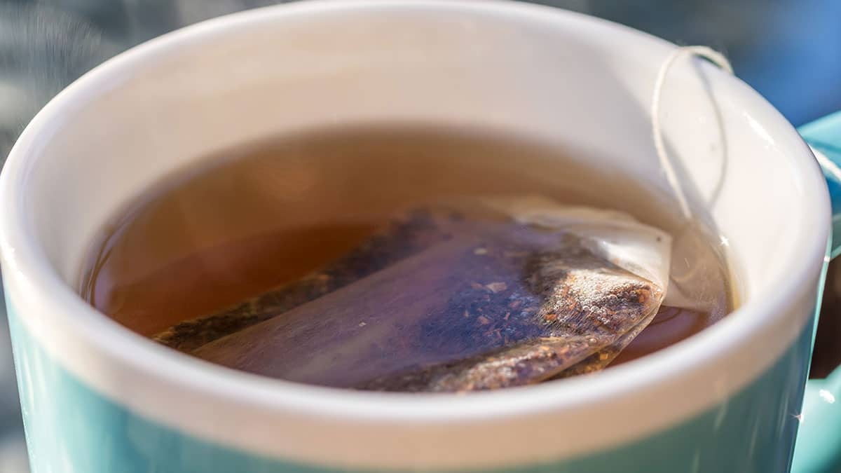 다 쓴 ‘티백’ 절대 버리지 마세요…여기에 재활용하면 3개월은 더 쓸 수 있습니다