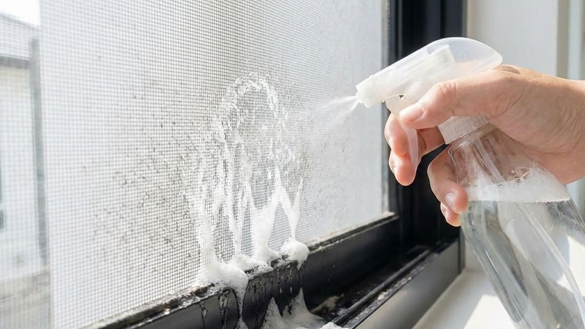 눈 와서 더러워진 방충망에 ‘이것’ 뿌려보세요…5분이면 바깥쪽까지 깨끗해집니다