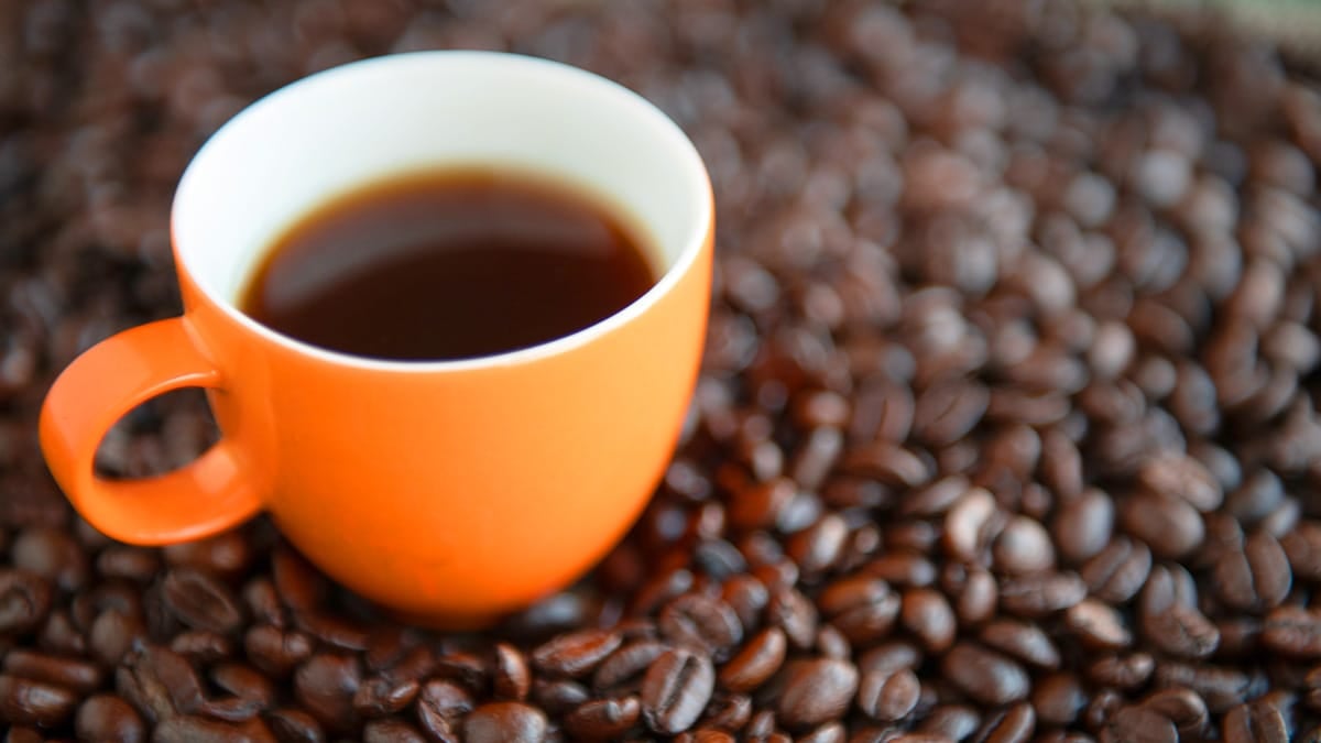 카페인 음료 카페인 음료