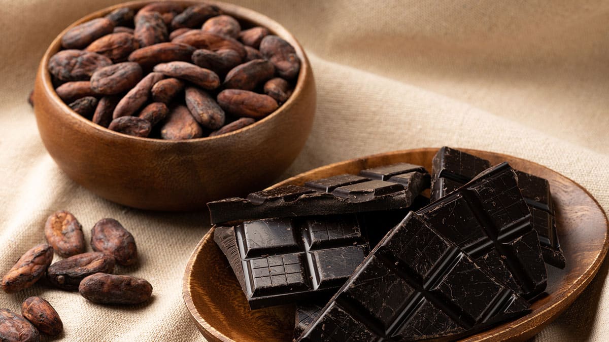 다크 초콜릿 다크 초콜릿