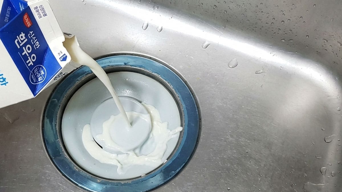상한 우유 ‘여기에’ 버리지 마세요…모르고 버렸다간 수리 비용 수십만 원 나옵니다