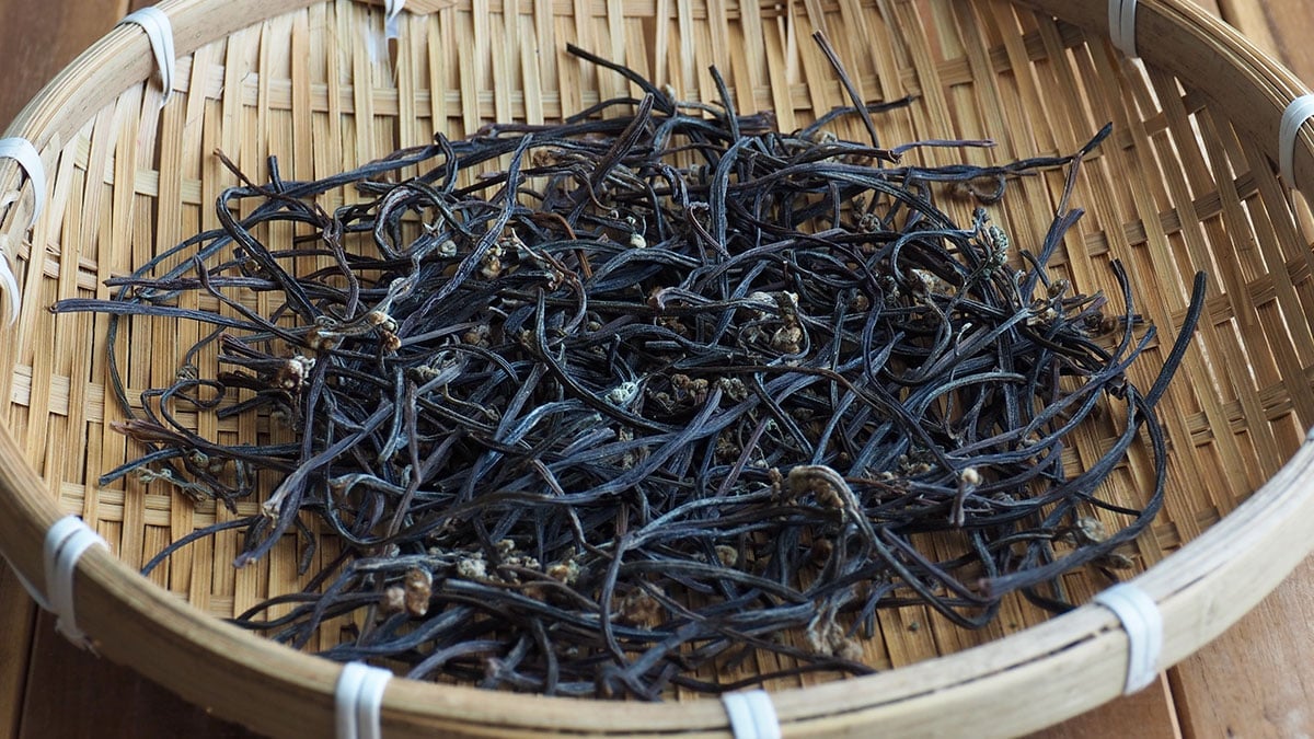 건고사리 건고사리