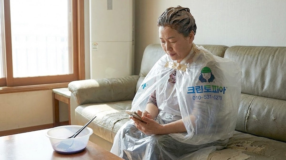 세탁소 비닐 재활용법 세탁소 비닐 재활용법