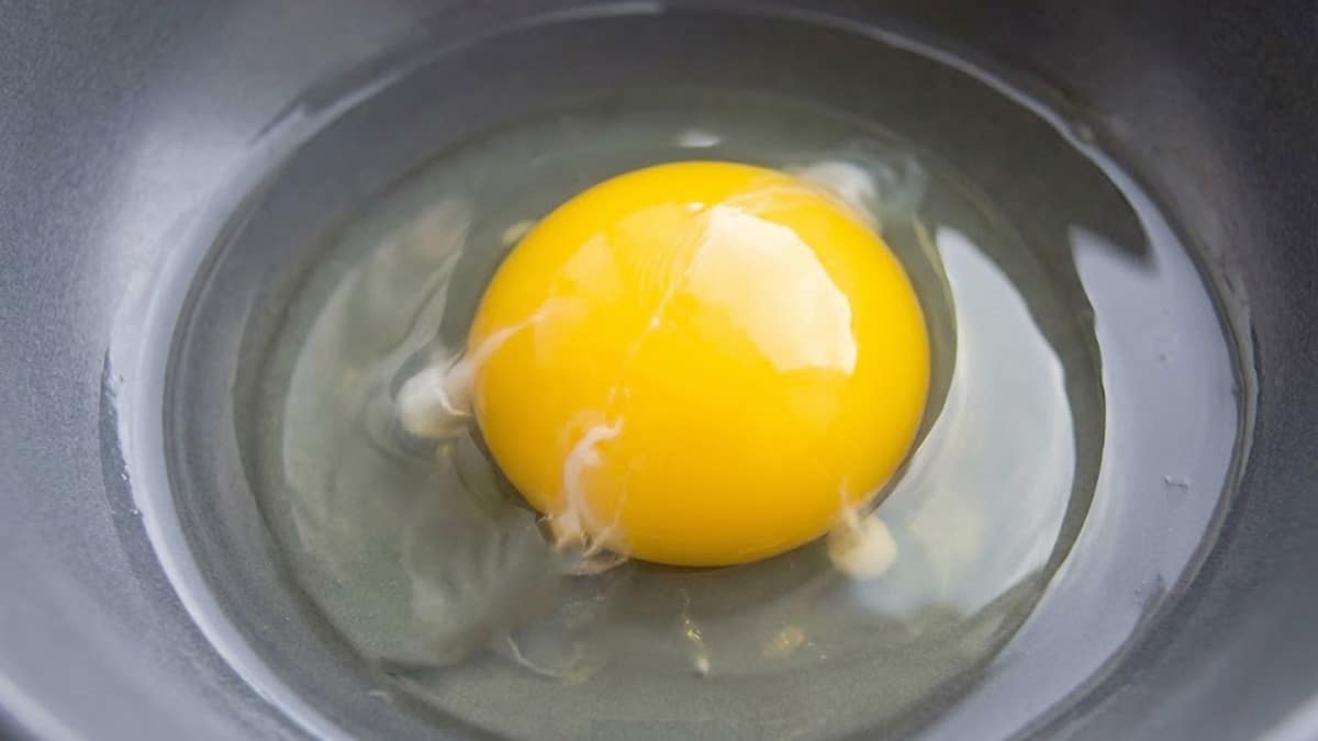 이거 진짜 먹어도 되는 건가?…주부들도 모르는 날달걀에 있는 ‘흰 끈’의 진짜 정체