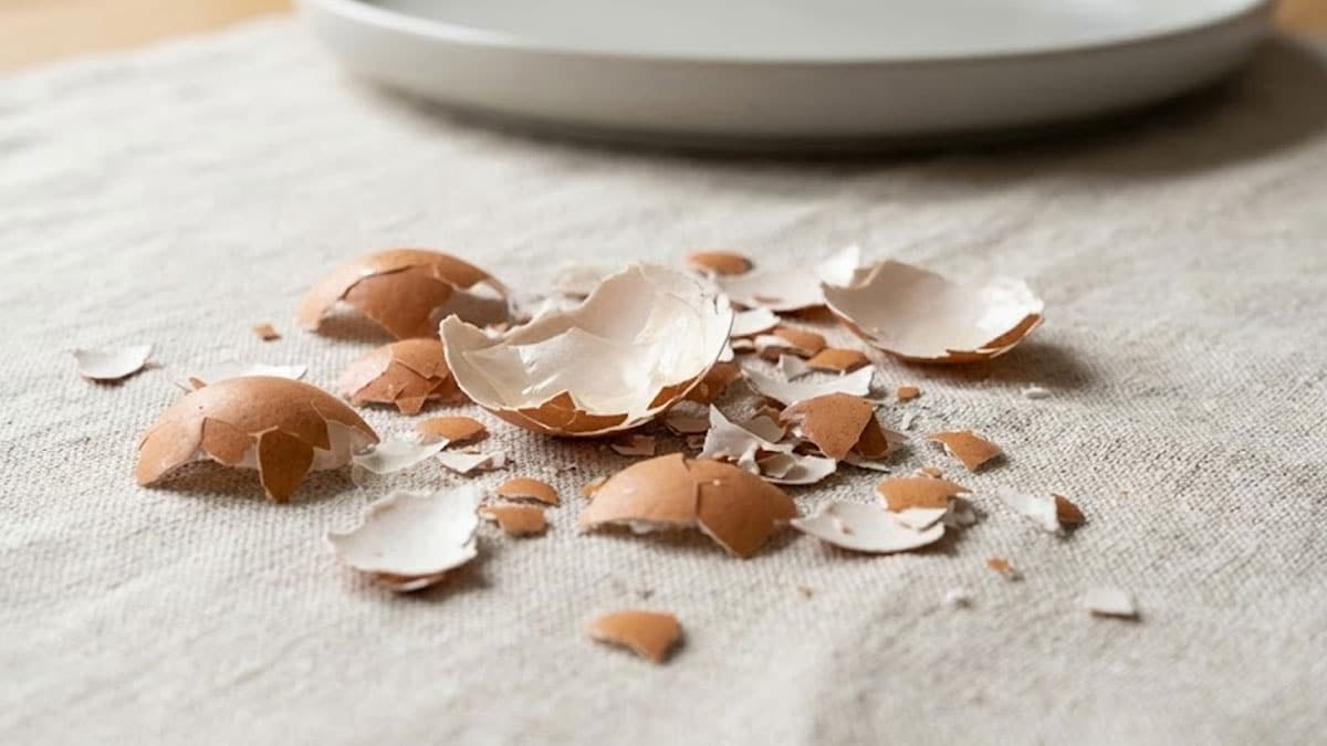 달걀 껍질 버리지 말고 모아두세요…찌든 때부터 악취까지 다 잡아줍니다