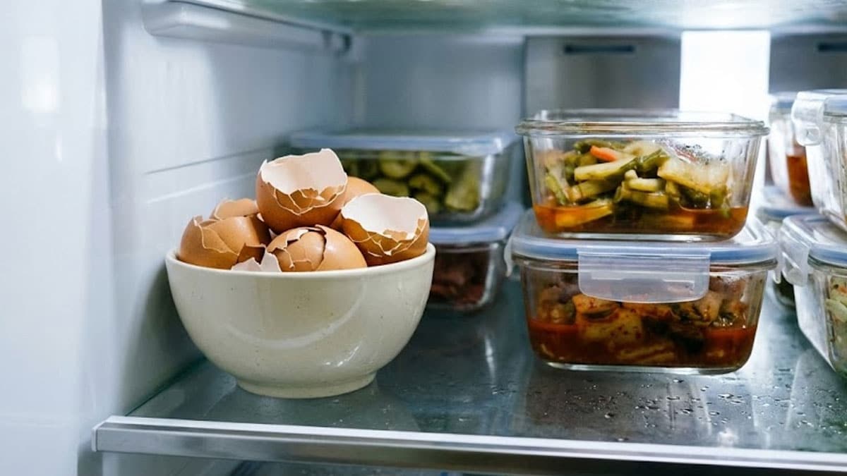 달걀 껍질 달걀 껍질