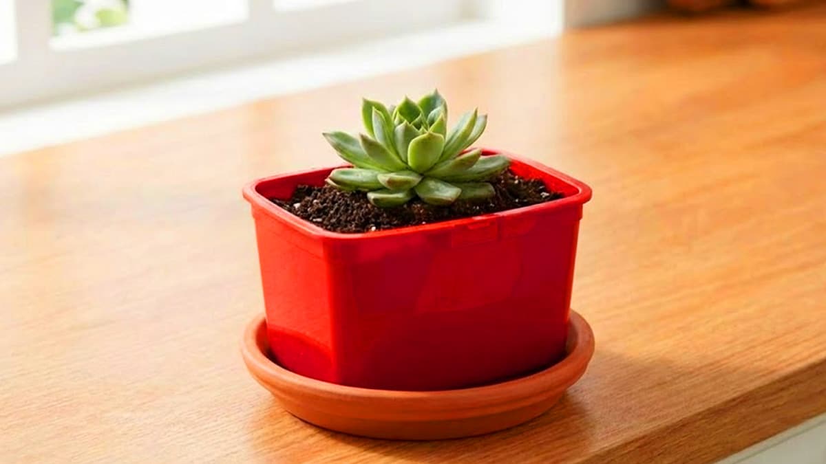 다 쓴 고추장통 활용법