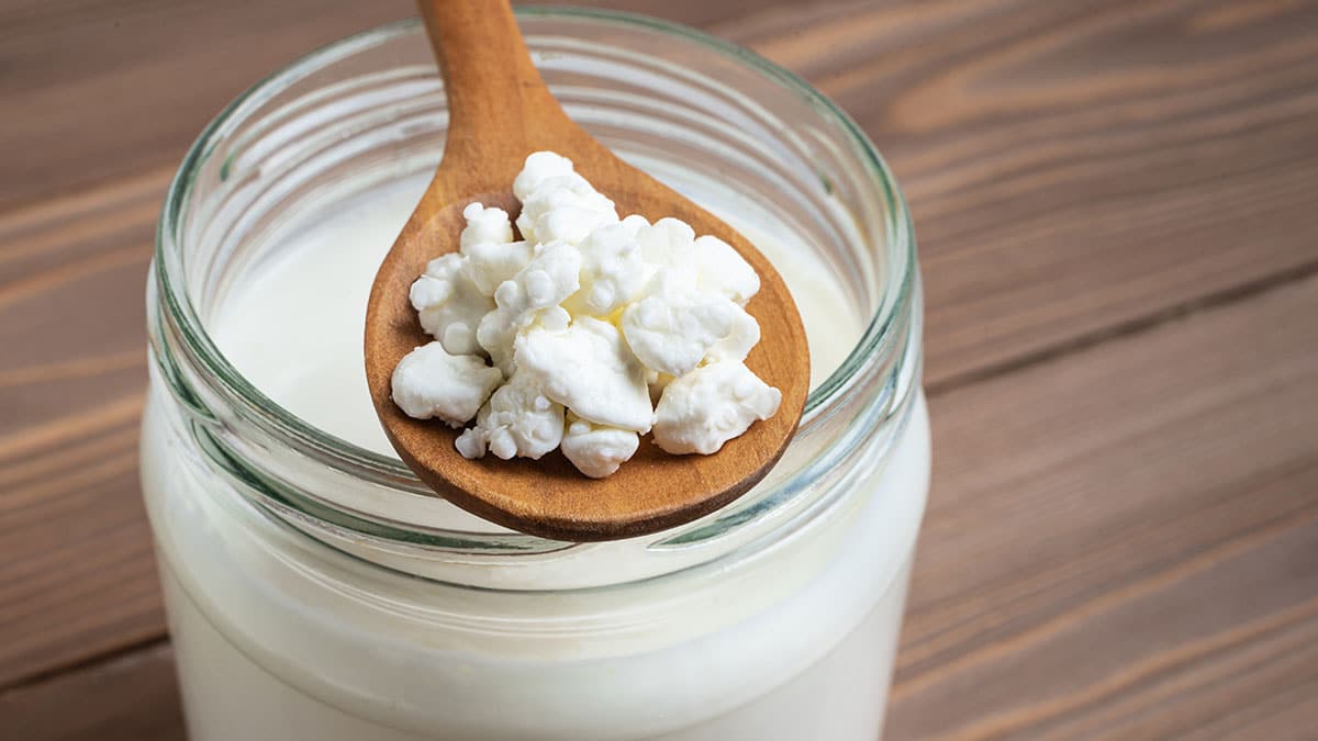 우유도 요거트도 아니다… 유당불내증 증상 71% 감소시켰다는 ‘이 음식’의 정체