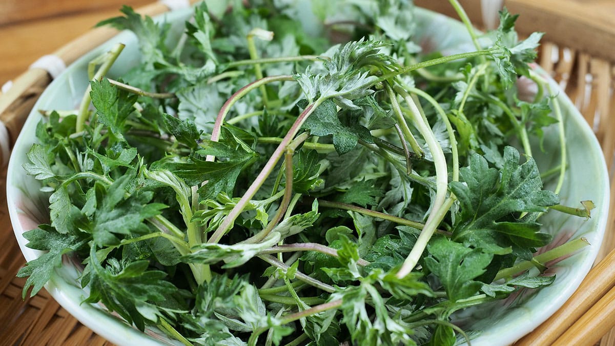 봄 쑥 생으로 먹지 말고 ‘이 방법’ 한 번만 거치세요…떫은맛 사라지고 영양 흡수까지 좋아집니다