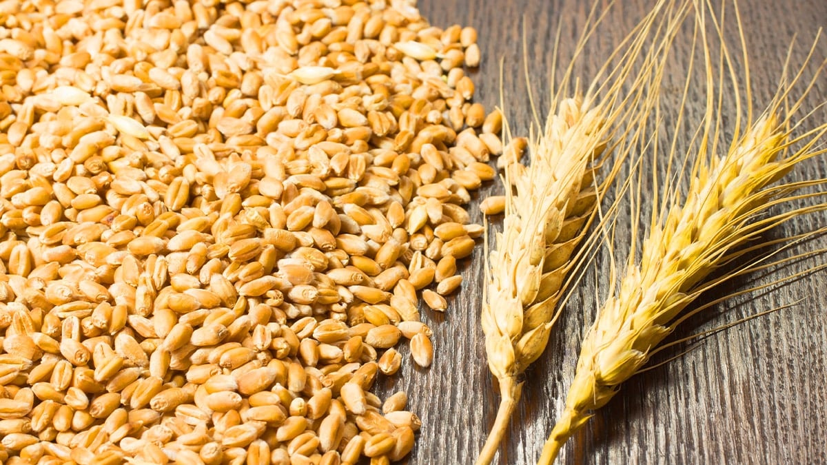 혈관 깨끗하고 튼튼하게 유지하면 ‘이 곡물’ 드세요… 이건 전문가들도 추천합니다