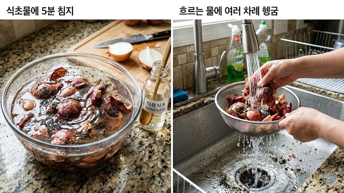 양파 껍질 세척법 양파 껍질 세척법