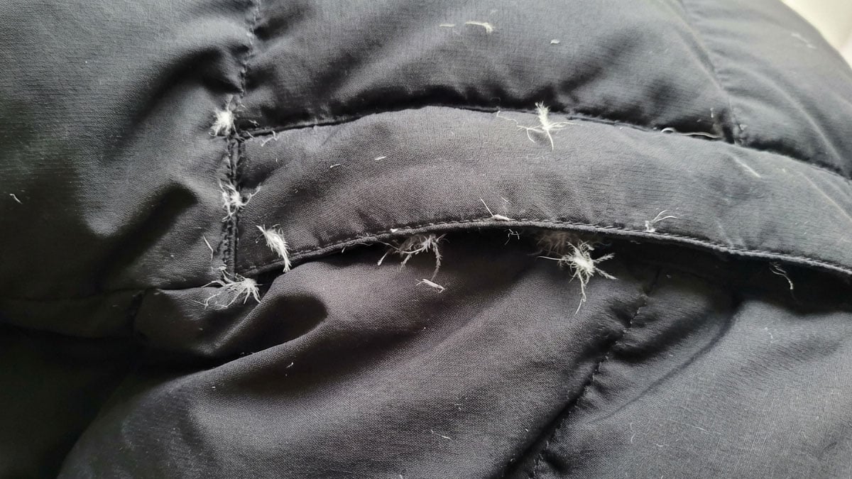 패딩 털 절대 뽑지 마세요…’이렇게’ 하면 털 날림 80% 줄어듭니다