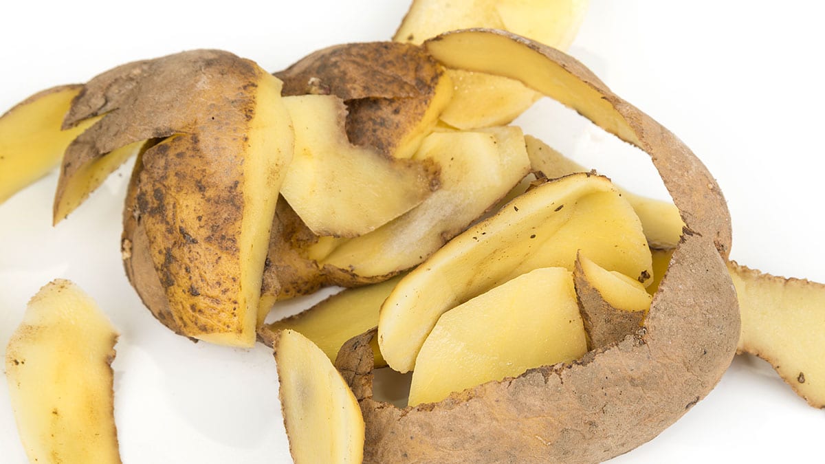 감자 껍질 감자 껍질