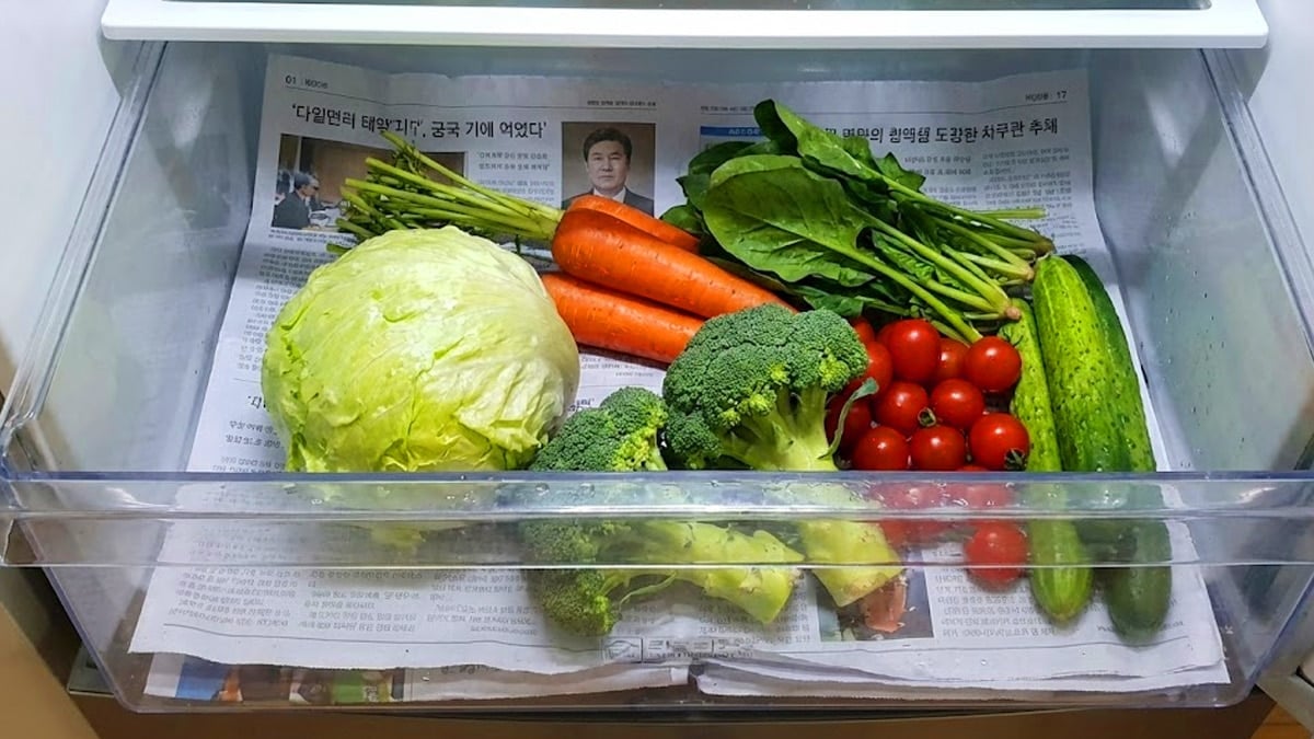 냉장고 야채칸에 신문지를 깔아둔 모습