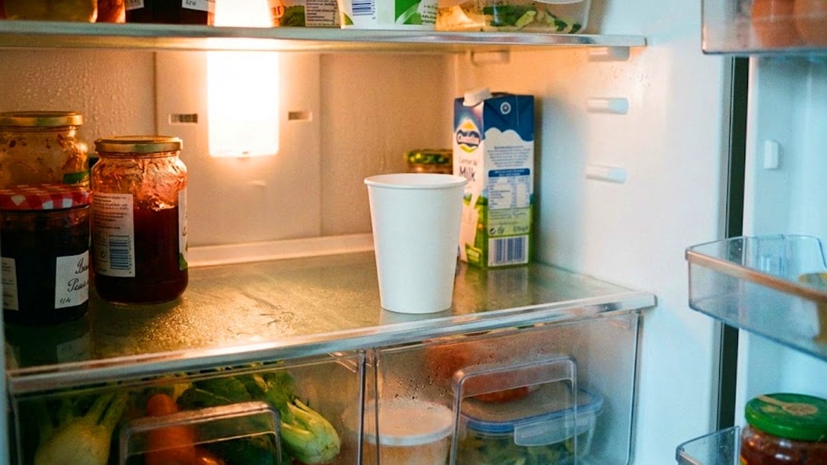 냉장고에 종이컵을 넣어둔 모습