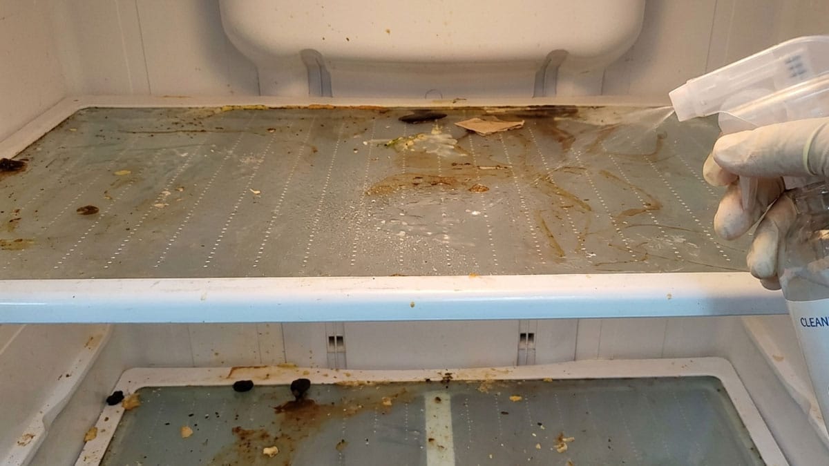 냉장고 비우고 ‘이 액체’ 뿌려보세요…세균·냄새 한 번에 해결됩니다