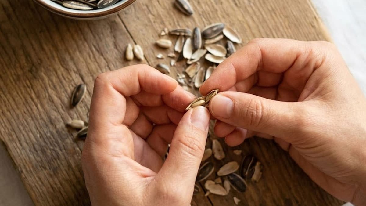 ‘이 간식’ 하루 한 줌만 드세요…콜레스테롤 낮추고 혈관 건강에 최고입니다