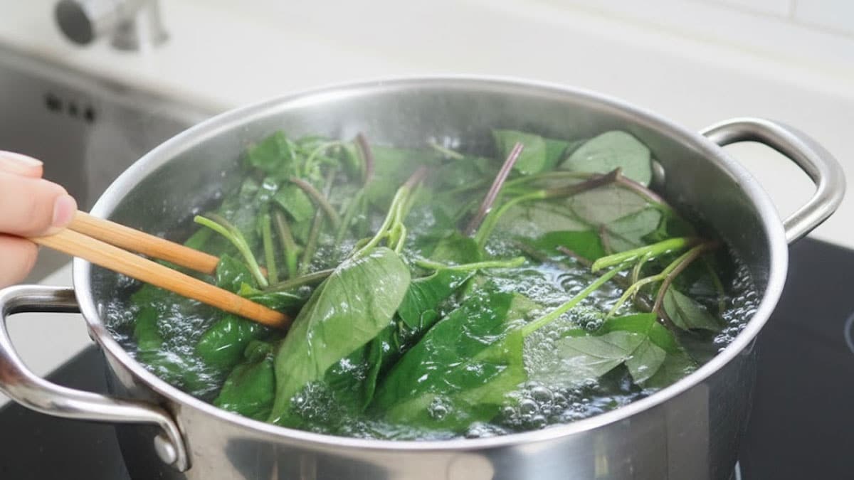 고구마 순 고구마 순