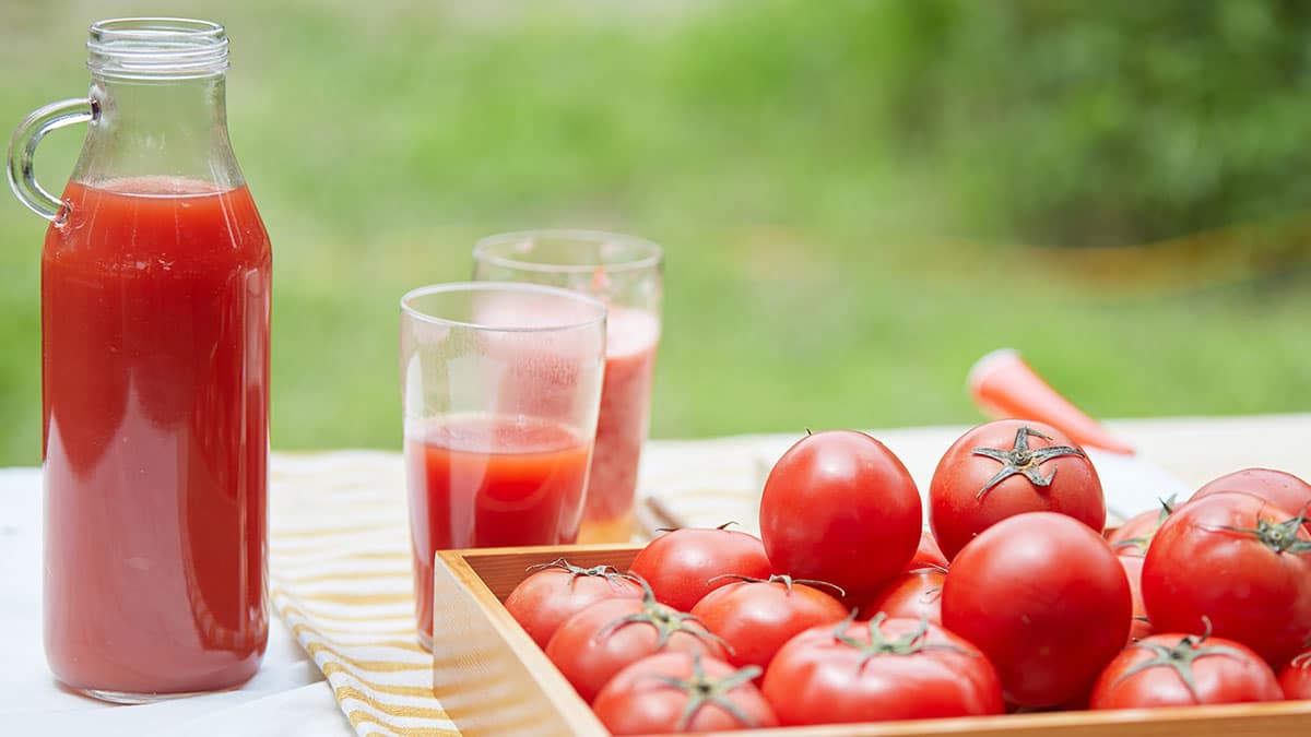 토마토 주스