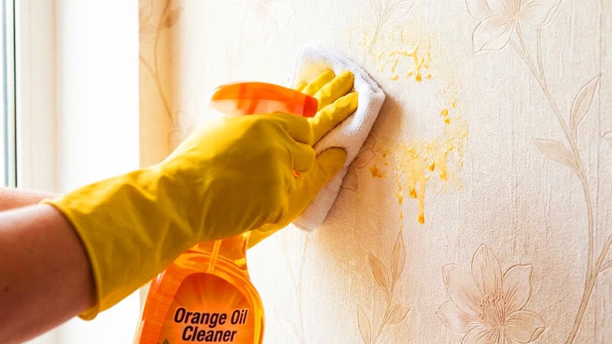 주방 벽지 얼룩 제거 방법