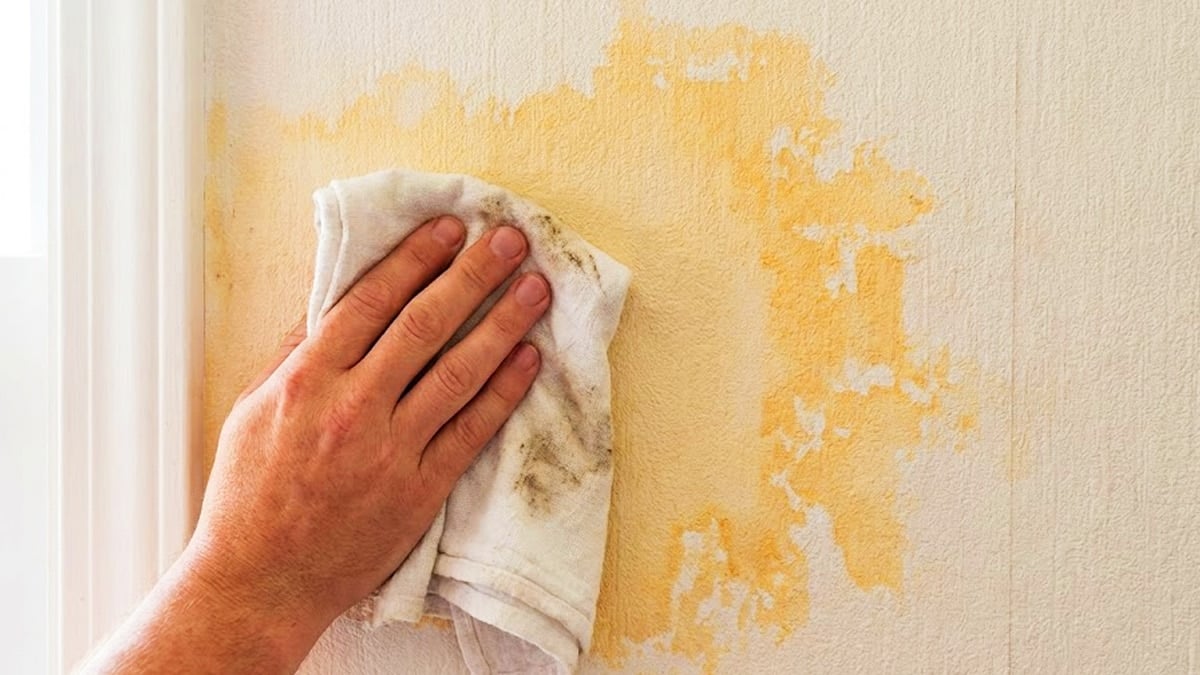 벽지 얼룩 제거